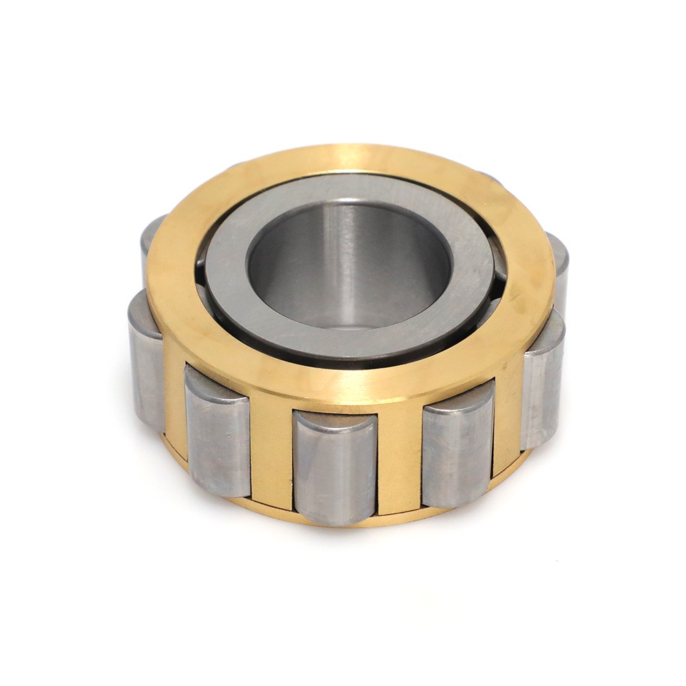 Cylindrical Roller Bearing Single Row Planetary Bearing Rn20X36.81X16V for Brevini
